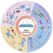 Graphical abstract: Recent advances in zeolite membranes for gas separation and pervaporation in petrochemicals