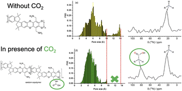 Graphical abstract: Unravelling the origin of enhanced CO2 selectivity in amine-PIM-1 during mixed gas permeation