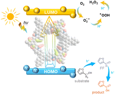 Graphical abstract: Oxidized covalent organic frameworks with enhanced local polarization for superior photocatalytic production of hydrogen peroxide