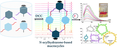 Graphical abstract: Synthesis of dynamic N-acylhydrazone-based macrocycles