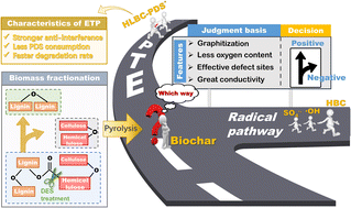 Graphical abstract: Component-specific biochar from biomass fractions regulates radical/non-radical pathway selectivity for organic degradation