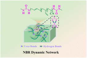 Graphical abstract: High-performance, recyclable, and multifunctional nitrile butadiene rubber based on hydrogen and urea bonds