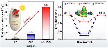 Graphical abstract: Morphology and doping engineering of sulfur-doped g-C3N4 hollow nanovesicles for boosting photocatalytic hydrogen production