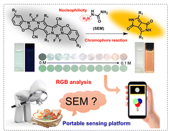 Graphical abstract: A portable smartphone platform utilizing dual-sensing signals for visual determination of semicarbazide in food samples