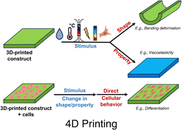 Graphical abstract: 4D printing for biomedical applications