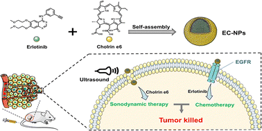 Graphical abstract: Sonodynamic-chemotherapy synergy with chlorin e6-based carrier-free nanoparticles for non-small cell lung cancer