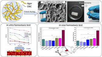 Graphical abstract: Preparation and assessment of agar/TEMPO-oxidized bacterial cellulose cryogels for hemostatic applications