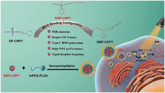 Graphical abstract: Regulating donor configuration to develop AIE-active type I photosensitizers for lipid droplet imaging and high-performance photodynamic therapy under hypoxia