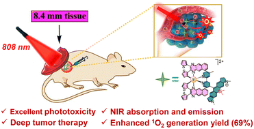Graphical abstract: Iridium(iii) complexes decorated with silicane-modified rhodamine: near-infrared light-initiated photosensitizers for efficient deep-tissue penetration photodynamic therapy