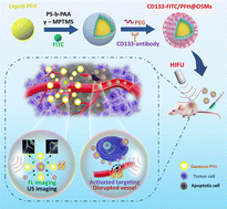 Graphical abstract: CD133-targeted multifunctional nanomicelles for dual-modality imaging and synergistic high-intensity focus ultrasound (HIFU) ablation on pancreatic cancer in nude mice