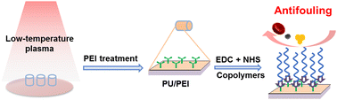 Graphical abstract: Poly(sulfobetaine) versus poly(ethylene glycol) based copolymer modified polyurethane catheters for antifouling