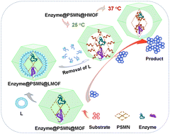 Graphical abstract: Encapsulation of an enzyme-immobilized smart polymer membrane in a metal–organic framework for enhancement of catalytic performance