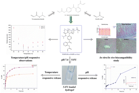 Graphical abstract: Synthesis and characterization of a pH/temperature-dual responsive hydrogel with promising biocompatibility features for stimuli-responsive 5-FU delivery