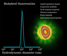 Graphical abstract: Biophysical investigation of liposome systems decorated with bioconjugated copolymers in the presence of amantadine