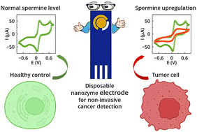 Graphical abstract: Electrocatalytic FeFe2O4 embedded, spermine-imprinted polypyrrole (Fe/MIPpy) nanozymes for cancer diagnosis and prognosis