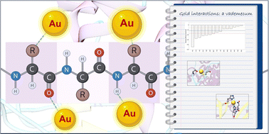 Graphical abstract: Interaction of Au(iii) with amino acids: a vade mecum for medicinal chemistry and nanotechnology