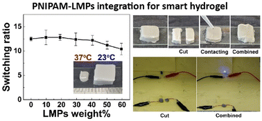 Graphical abstract: A highly conductive, robust, self-healable, and thermally responsive liquid metal-based hydrogel for reversible electrical switches