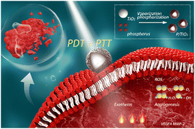 Graphical abstract: Vaporization phosphorization-mediated synthesis of phosphorus-doped TiO2 nanocomposites for combined photodynamic and photothermal therapy of renal cell carcinoma