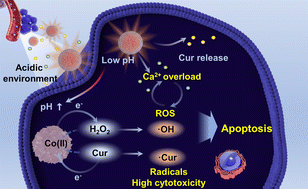 Graphical abstract: Cobalt-based hybrid nanoparticles loaded with curcumin for ligand-enhanced synergistic nanocatalytic therapy/chemotherapy combined with calcium overload