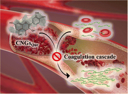 Graphical abstract: Carbonization of quercetin into nanogels: a leap in anticoagulant development