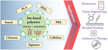 Graphical abstract: Recent advancements in bio-based dielectric and piezoelectric polymers and their biomedical applications