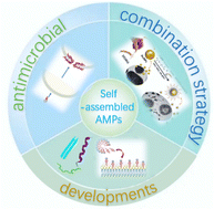 Graphical abstract: Antimicrobial therapy based on self-assembling peptides
