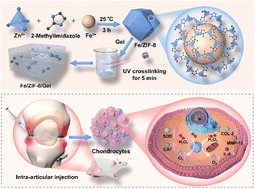 Graphical abstract: Nano-enzyme hydrogels for cartilage repair effectiveness based on ternary strategy therapy