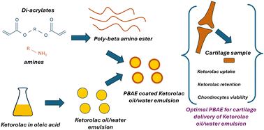 Graphical abstract: Screening of poly-beta amino ester coated emulsion of ketorolac for cartilage delivery