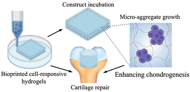 Graphical abstract: Bioprinted biomimetic hydrogel matrices guiding stem cell aggregates for enhanced chondrogenesis and cartilage regeneration