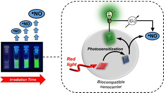 Graphical abstract: Supramolecular red-light-photosensitized nitric oxide release with fluorescence self-reporting within biocompatible nanocarriers