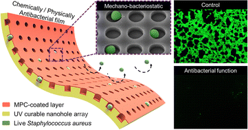Graphical abstract: Flexible and transparent nanohole-patterned films with antibacterial properties against Staphylococcus aureus