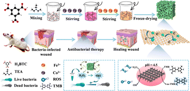 Graphical abstract: Porous reticular Co@Fe metal–organic gel: dual–function simulated peroxidase nanozyme for both colorimetric sensing and antibacterial applications