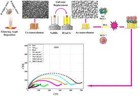Graphical abstract: Precision in cancer diagnostics: ultra-sensitive detection of MCF-7 breast cancer cells by gold nanostructure-enhanced electrochemical biosensing