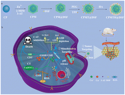 Graphical abstract: Engineering of a double targeting nanoplatform to elevate ROS generation and DSF anticancer activity