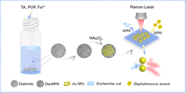 Graphical abstract: Food-borne bacteria analysis using a diatomite bioinspired SERS platform