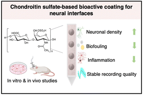 Graphical abstract: Investigation of a chondroitin sulfate-based bioactive coating for neural interface applications