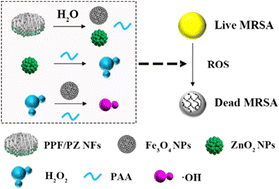 Graphical abstract: H2O2/acid self-supplying double-layer electrospun nanofibers based on ZnO2 and Fe3O4 nanoparticles for efficient catalytic therapy of wound infection