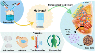 Graphical abstract: A bio-ionic liquid based self-healable and adhesive ionic hydrogel for the on-demand transdermal delivery of a chemotherapeutic drug