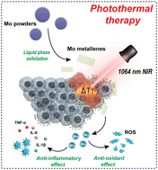 Graphical abstract: Liquid exfoliation of molybdenum metallenes for non-inflammatory photothermal therapy of tumors