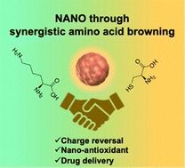 Graphical abstract: A nano-platform harnessing synergistic amino acid browning for biomedical applications