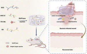 Graphical abstract: A peptide-based pH-sensitive antibacterial hydrogel for healing drug-resistant biofilm-infected diabetic wounds