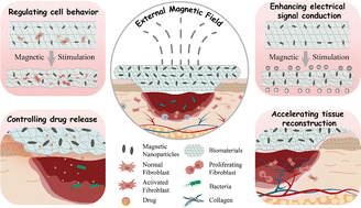 Graphical abstract: Magneto-responsive biocomposites in wound healing: from characteristics to functions