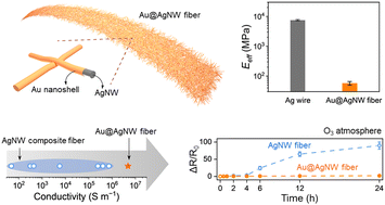 Graphical abstract: High-performing fiber electrodes based on a gold-shelled silver nanowire framework for bioelectronics