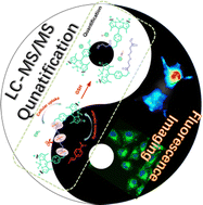 Graphical abstract: Quantitatively analyzing the dissociation and release of disulfide-containing organic nanoparticles