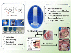 Graphical abstract: A bioinspired injectable antioxidant hydrogel for prevention of postoperative adhesion