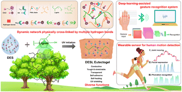 Graphical abstract: A flexible, stretchable and wearable strain sensor based on physical eutectogels for deep learning-assisted motion identification