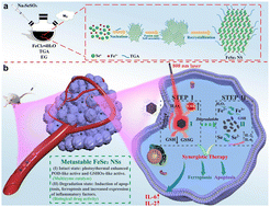 Graphical abstract: Metastable FeSe2 nanosheets as a one-for-all platform for stepwise synergistic tumor therapy