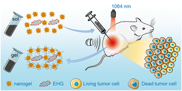 Graphical abstract: New features of edge-selectively hydroxylated graphene nanosheets as NIR-II photothermal agent and sonothermal agent for tumor therapy