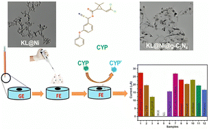 Graphical abstract: Detection of toxic cypermethrin pesticides in drinking water by simple graphitic electrode modified with Kraft lignin@Ni@g-C3N4 nano-composite