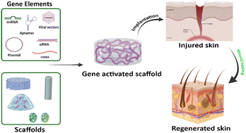 Graphical abstract: Advances in skin gene therapy: utilizing innovative dressing scaffolds for wound healing, a comprehensive review